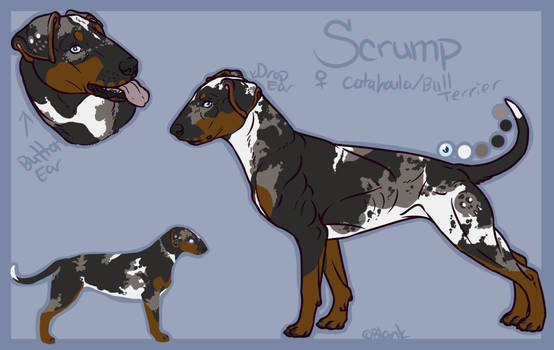 Scrump Ref