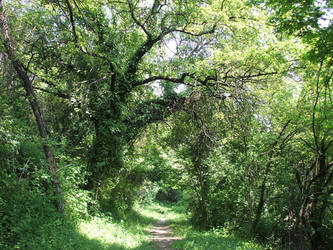 Ancient Boulevard