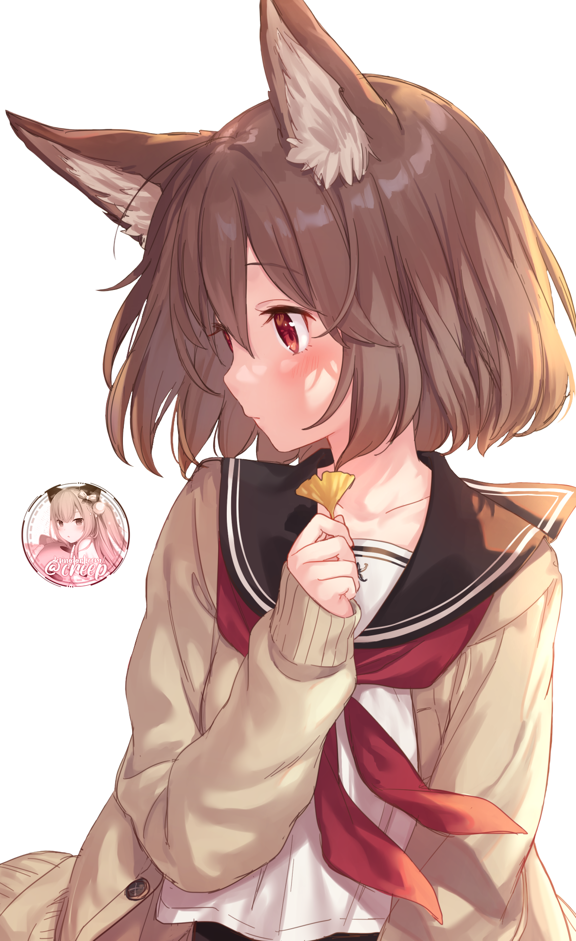 manga fox