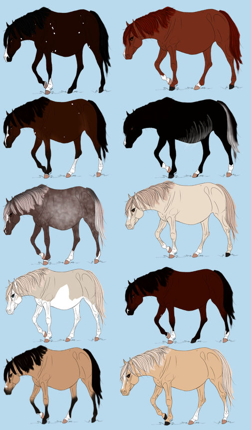 Thoroughbred Broodmare Adopts by Song-Wolf-Farm on DeviantArt