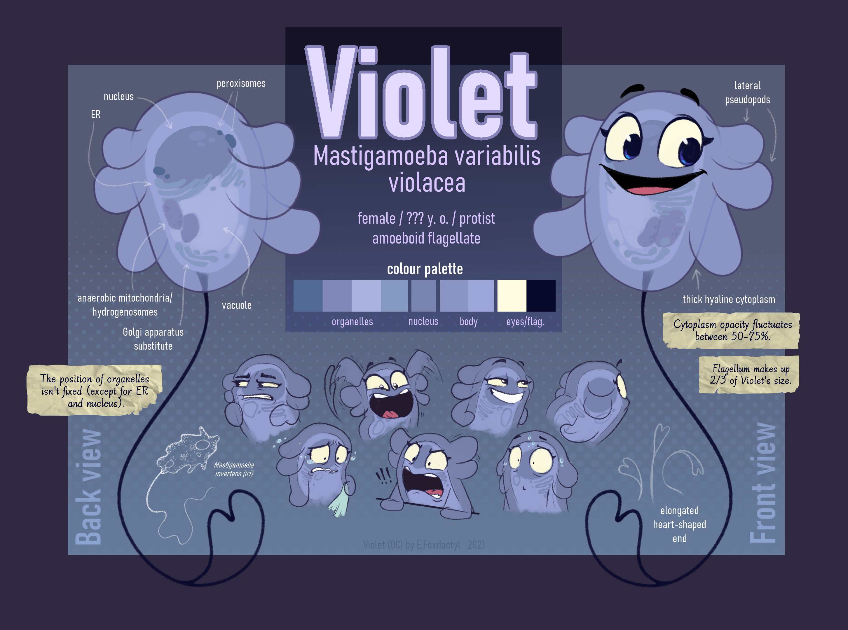 Violet Reference Sheet 2018 by BlueMan282 on DeviantArt