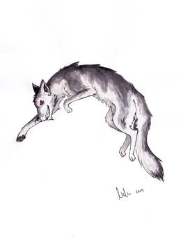 Ink coyote (13.05.15)