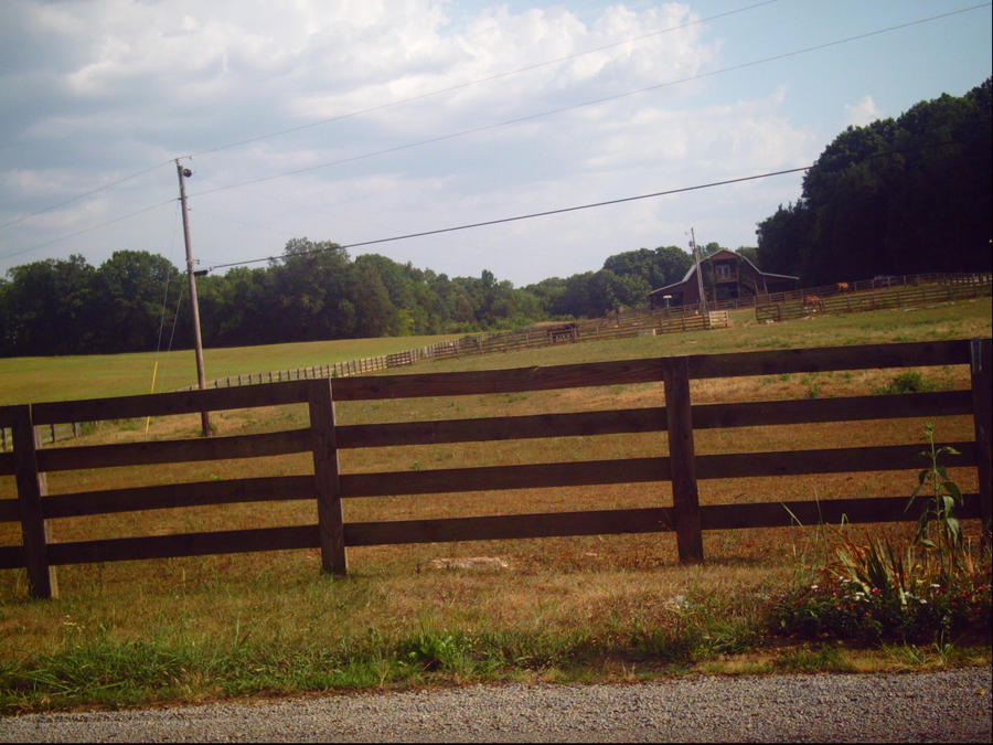 Jans farm from afar