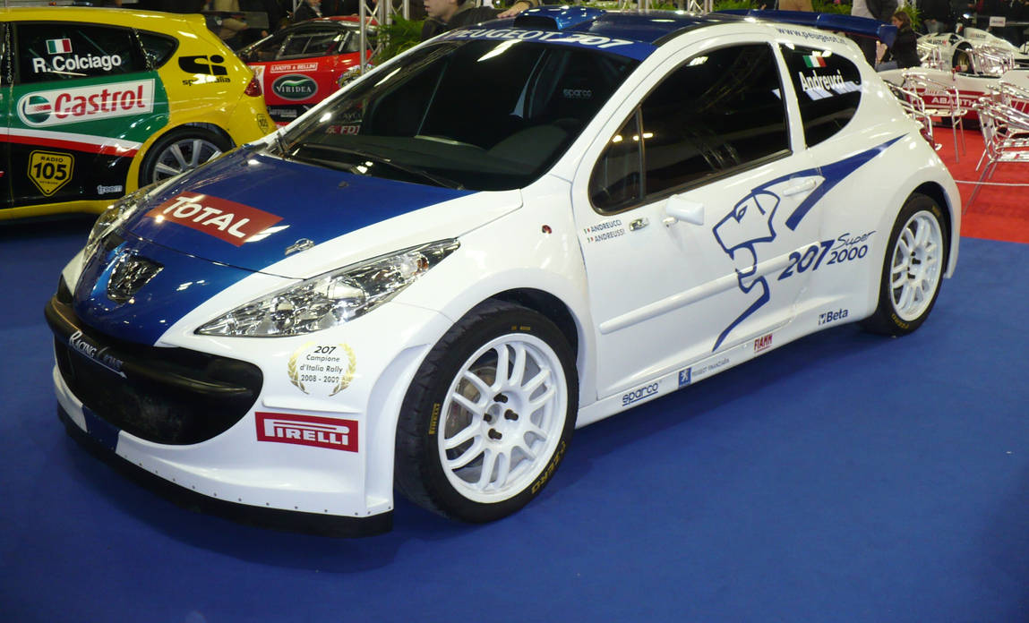 Peugeot 207 Rally by Davi80 on DeviantArt