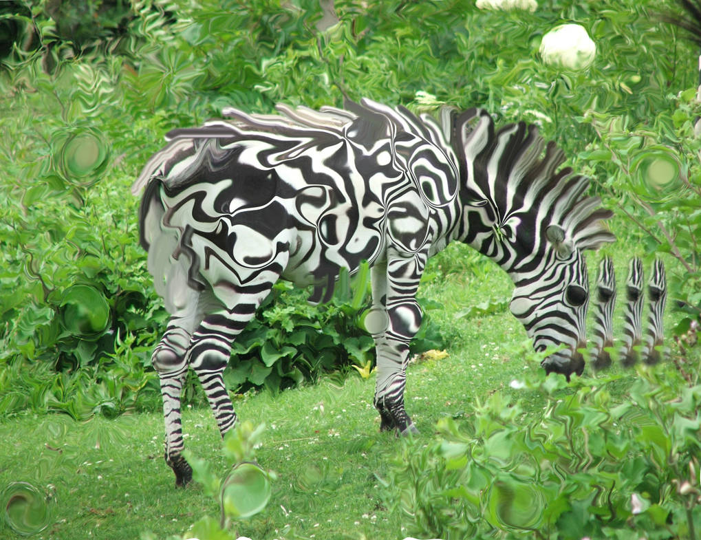 Space Zebra by Blahsblah2001 on DeviantArt
