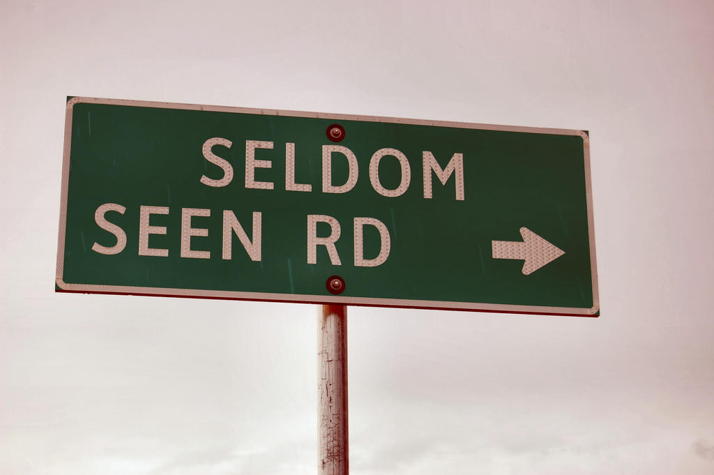 Seldom by SatansWheelchair on DeviantArt