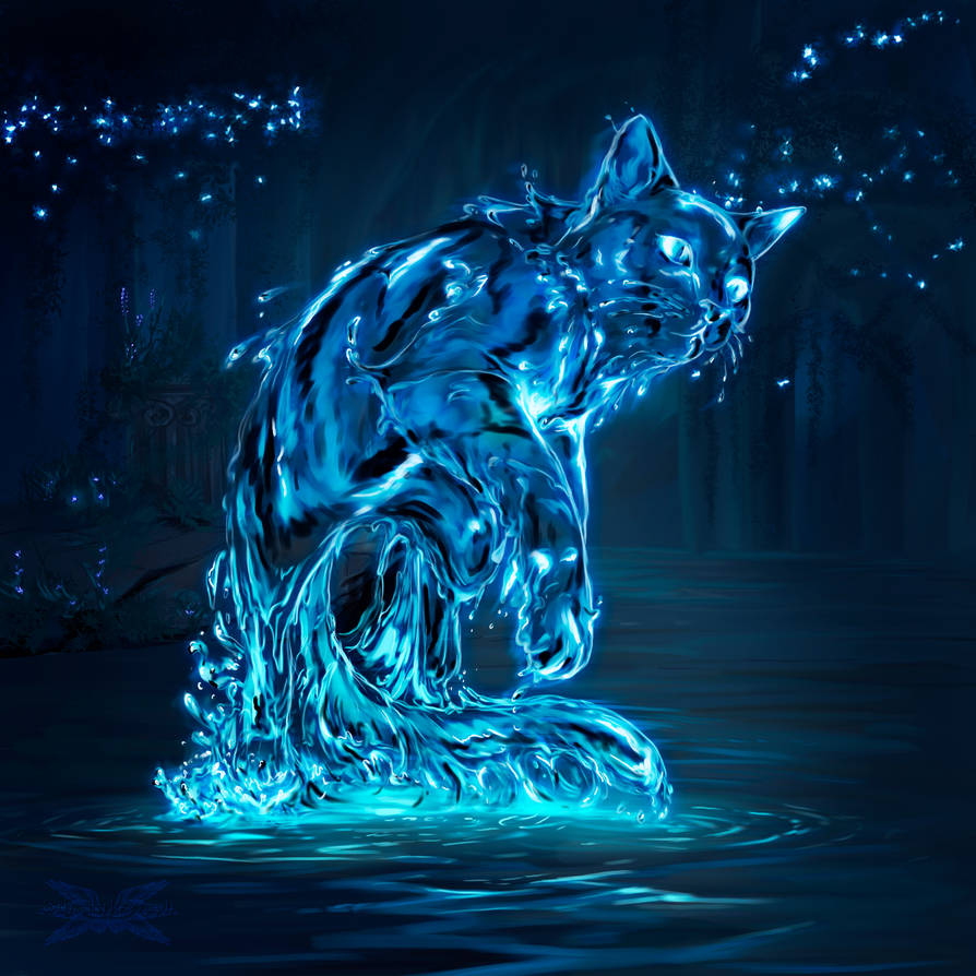 Water And Cat Happiness photo