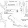 Compound Bow Design