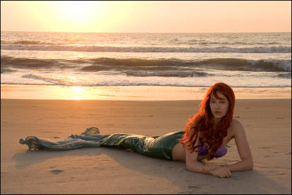 Mermaid Washed Ashore 1