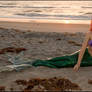 Mermaid Washed Ashore 3