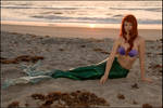 Mermaid Washed Ashore 3