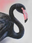 Black flamingo by ANNAALENA