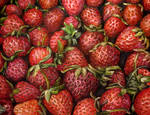 Strawberries oil painting by belka10