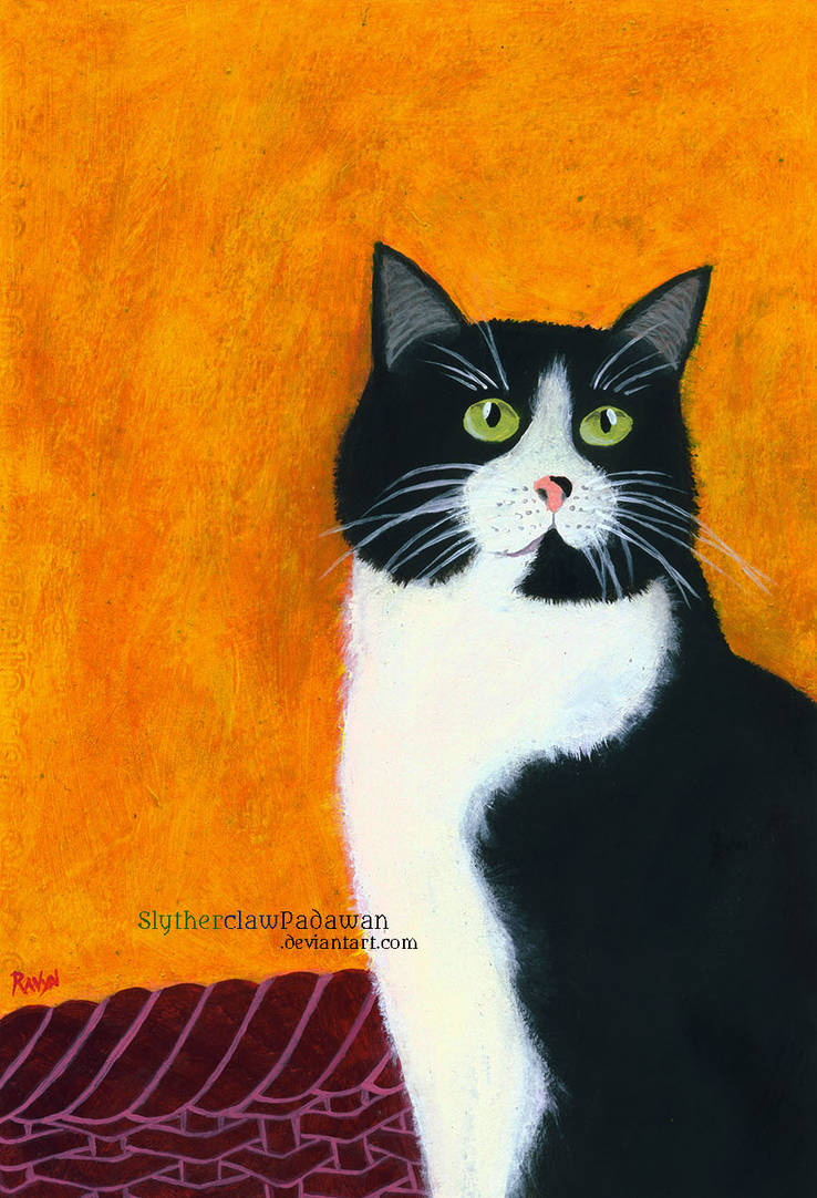 Clueless Kitty by SlytherclawPadawan Clueless Kitty by SlytherclawPadawan