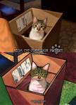Mega Cat Commission Project sample-FAK-2 by SlytherclawPadawan