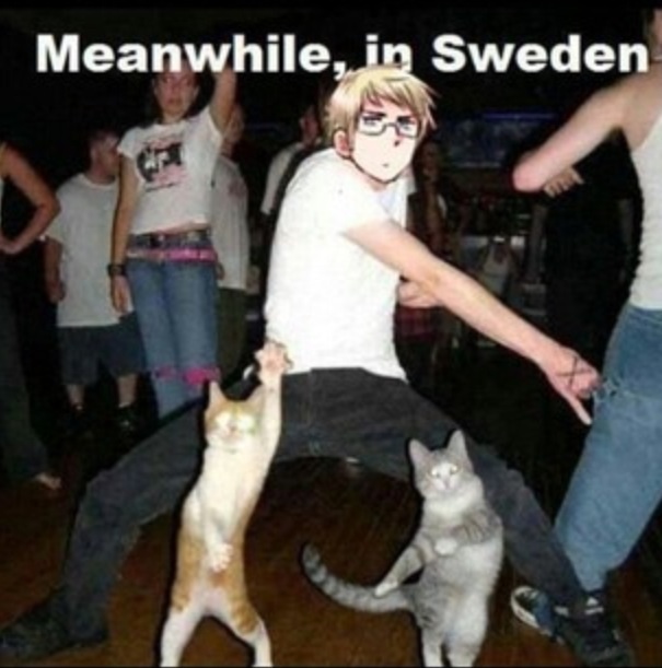 Swedish RAVE