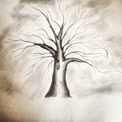 Sketch tree