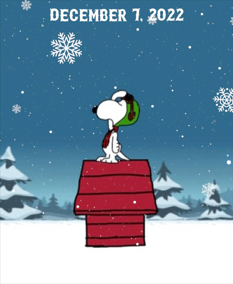 12/7/22 - Snoopy Salutes by DarthVader867554333 on DeviantArt