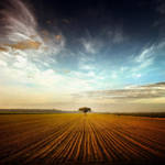 landscape4 by theparadigma