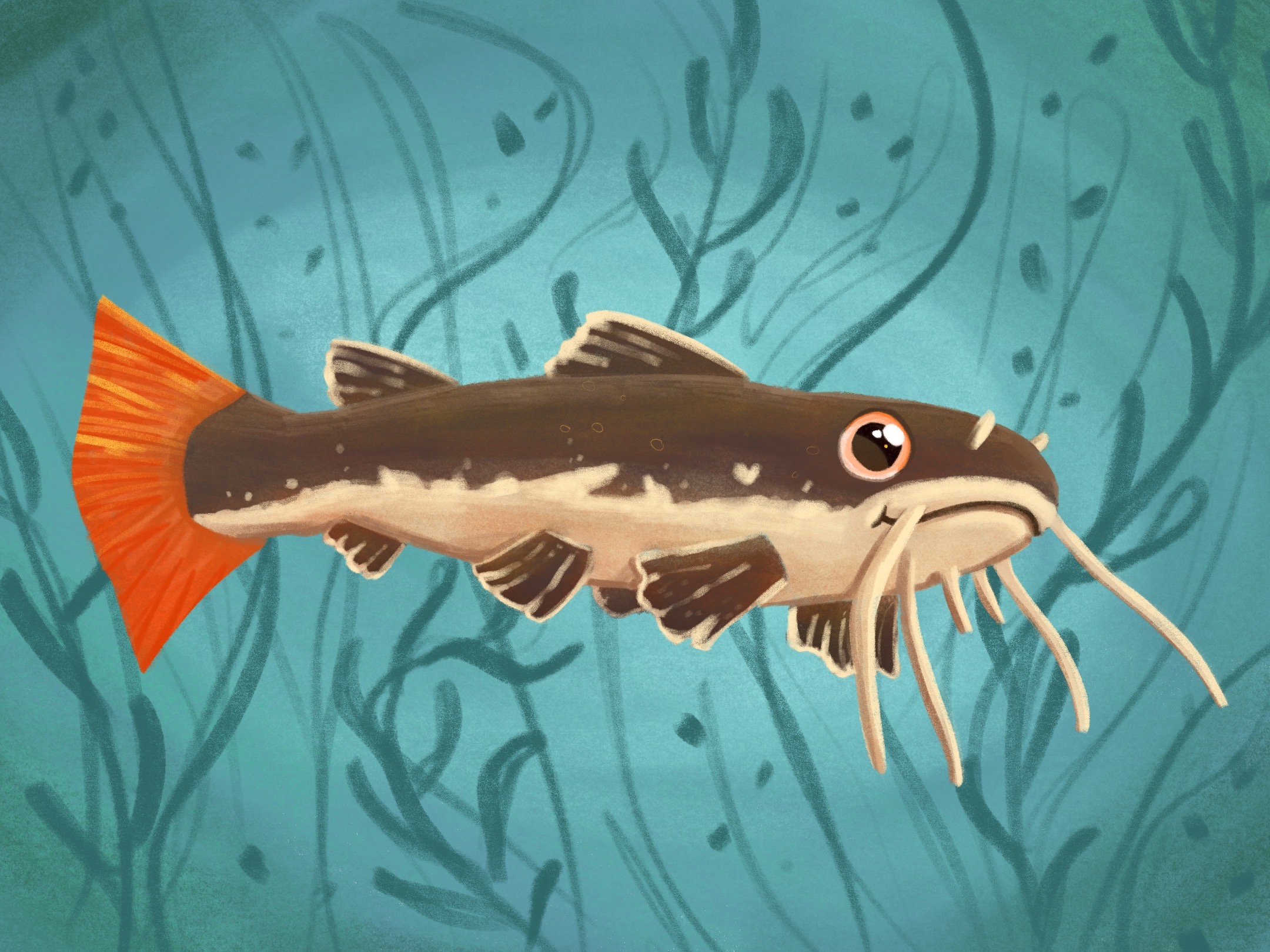 Catfish :3 by OopsAllSpiders on DeviantArt