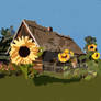 Sunflowers