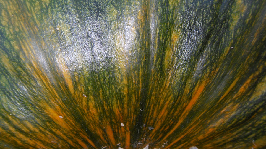 Pumpkin Texture Explosion