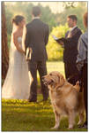 Mann's Best Friend by Doubtful-Della