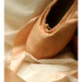 Pointe Shoe