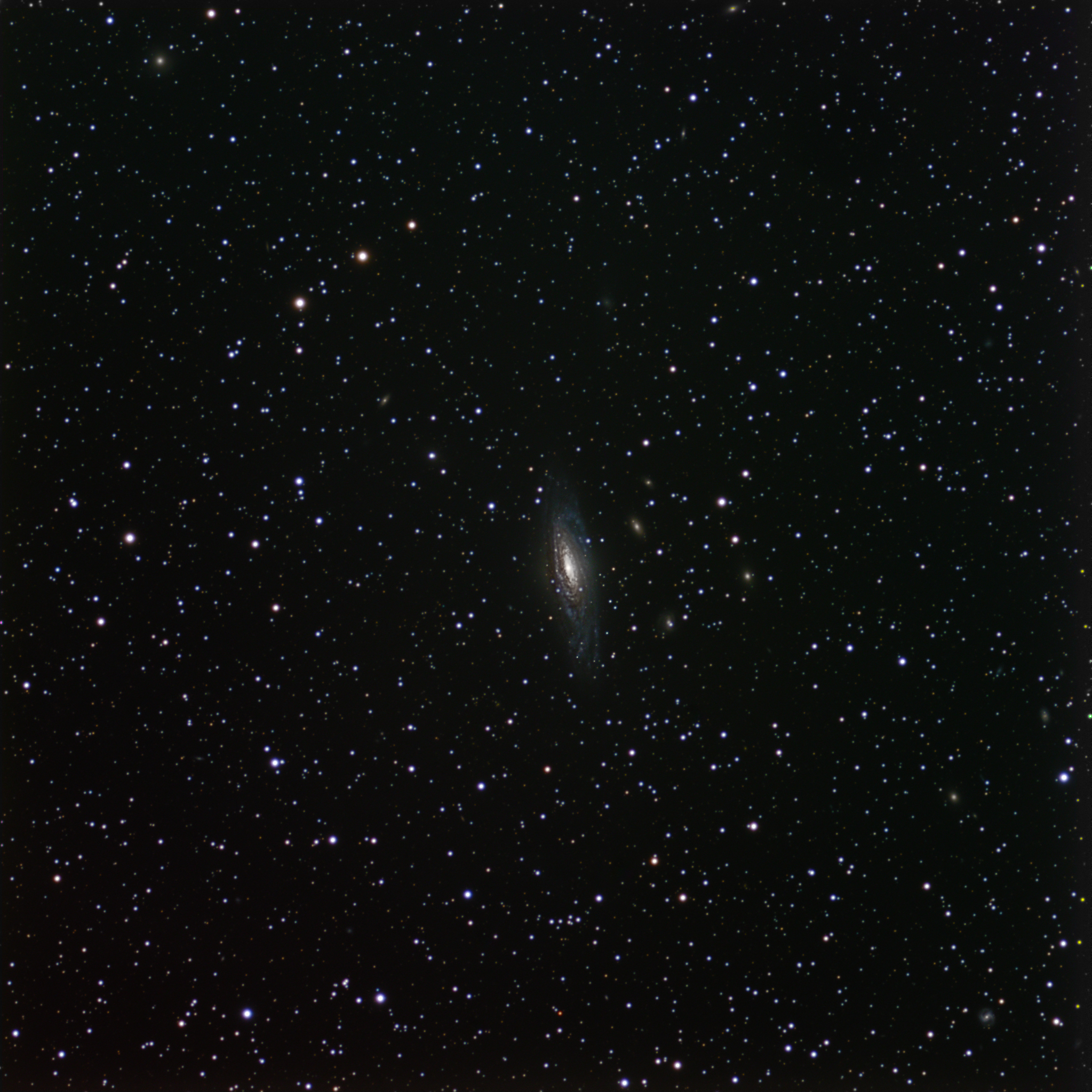 NGC 7331