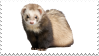 ferret stamp 3