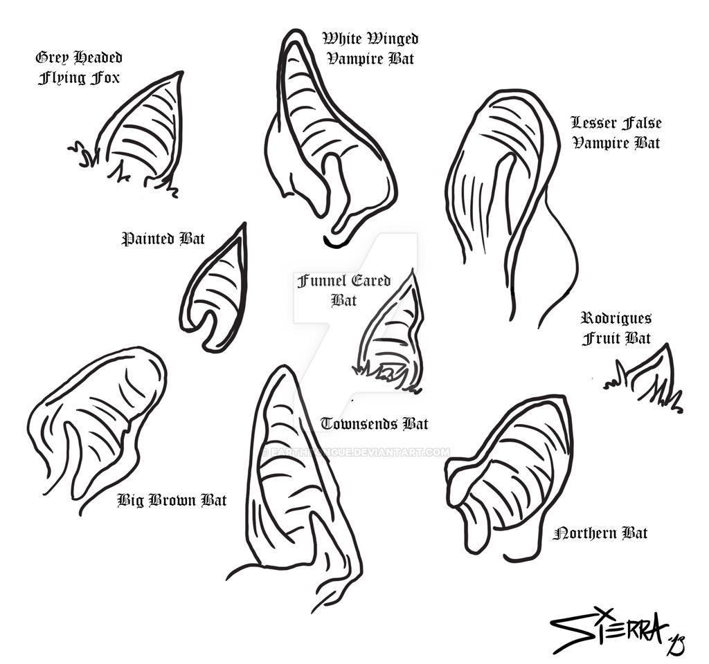 Bat Ear Mod Bat Ears Expression at Scott Paramore blog