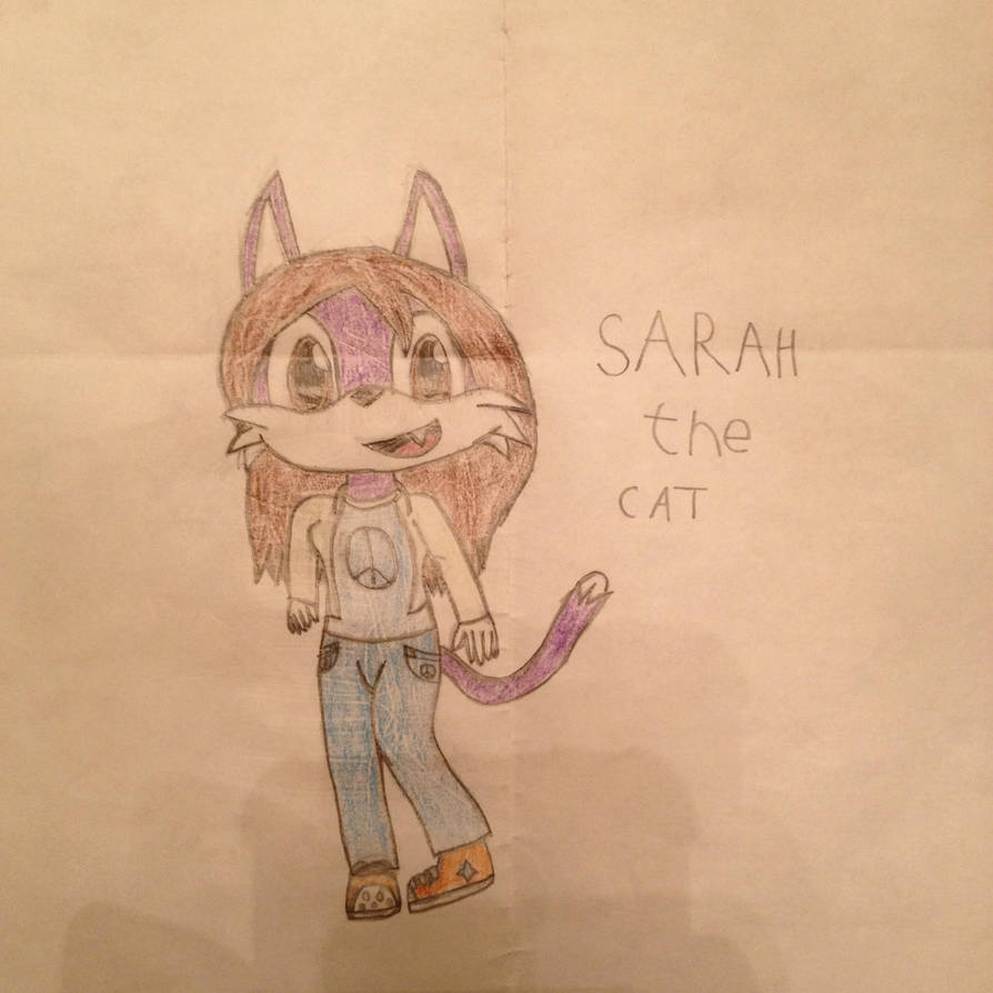 Sarah the cat, by starhedgehog1 on DeviantArt