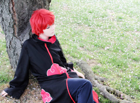 Naruto Shippuden - Sasori cosplay