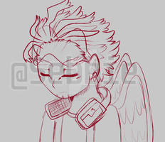 Hawks Sketch