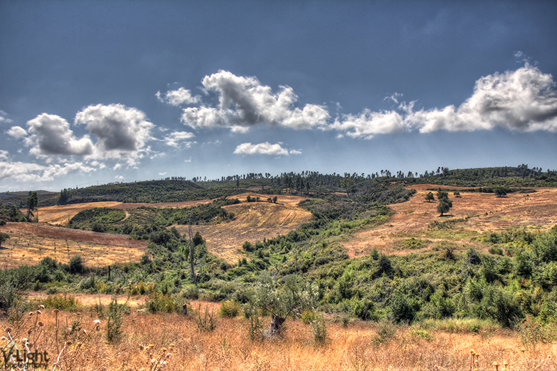 The fields of summer