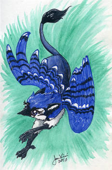 Blue Jay Gryphon