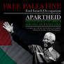 Mandela - Palestine Poster