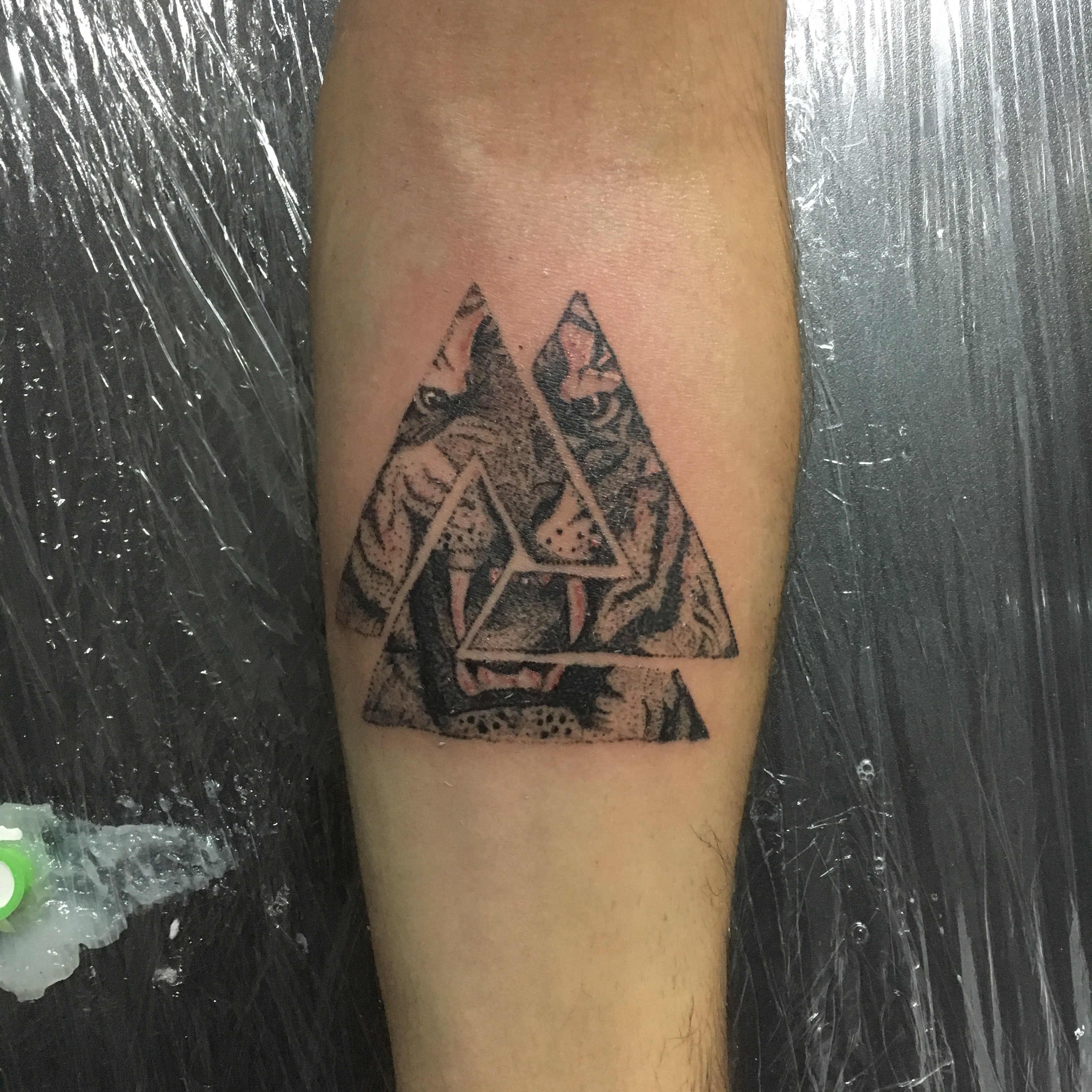 Валькнут дотворк