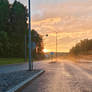 After summer rain