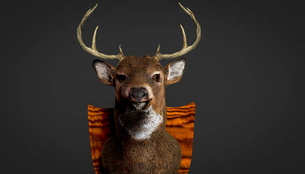 Deer 6 final - zbrush render