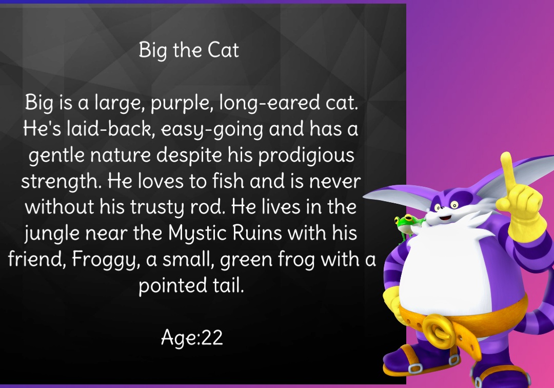 Bio Deviantart Big Character Profile Bio by SonicHedgehog02 on DeviantArt