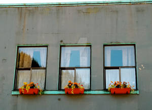 Window Boxes