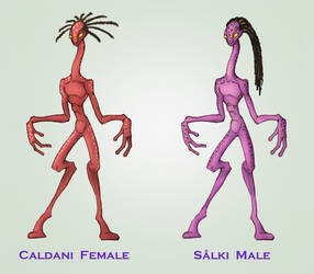 Caldani and Salki