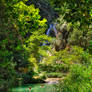 In the garden of Eden
