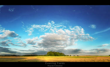 Evening Fields