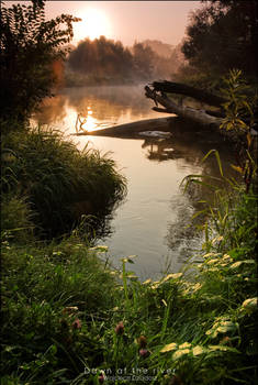 Dawn at the river