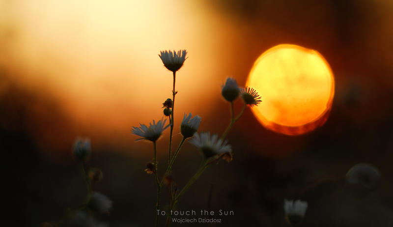 To touch the sun