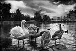 The Family by WojciechDziadosz