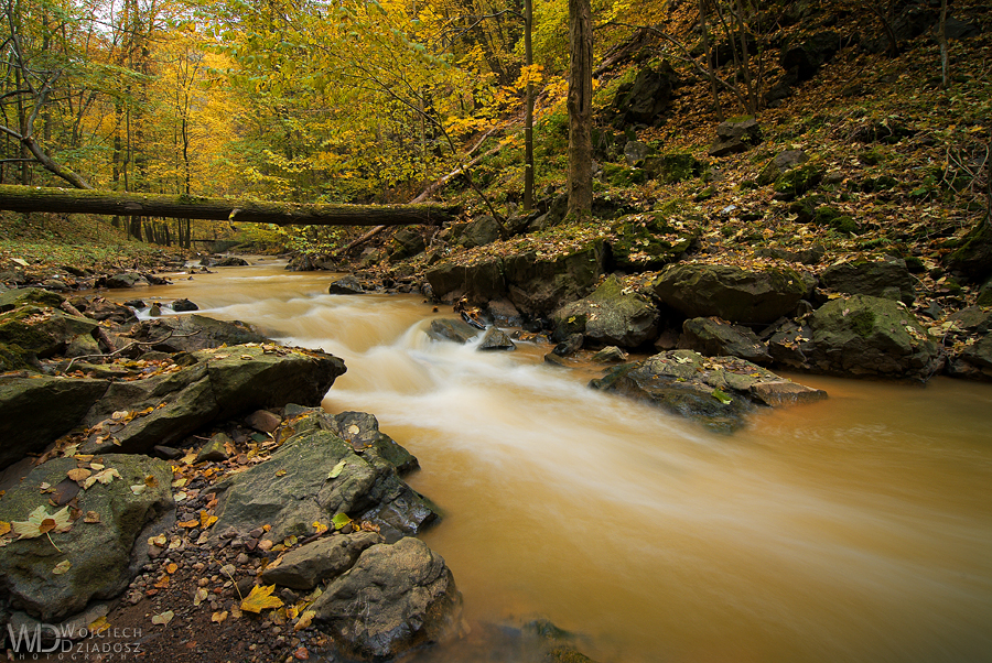 Orange stream