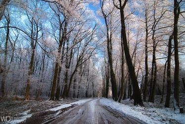 Frozen path